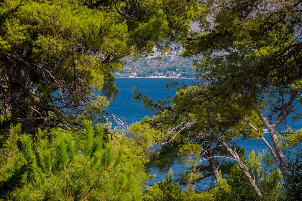 Apartment Dora Cavtat Exteriör bild